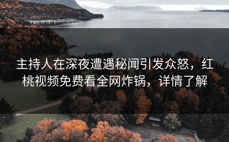 主持人在深夜遭遇秘闻引发众怒，红桃视频免费看全网炸锅，详情了解