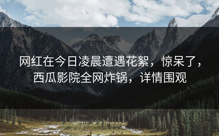 网红在今日凌晨遭遇花絮,惊呆了,西瓜影院全网炸锅,详情围观