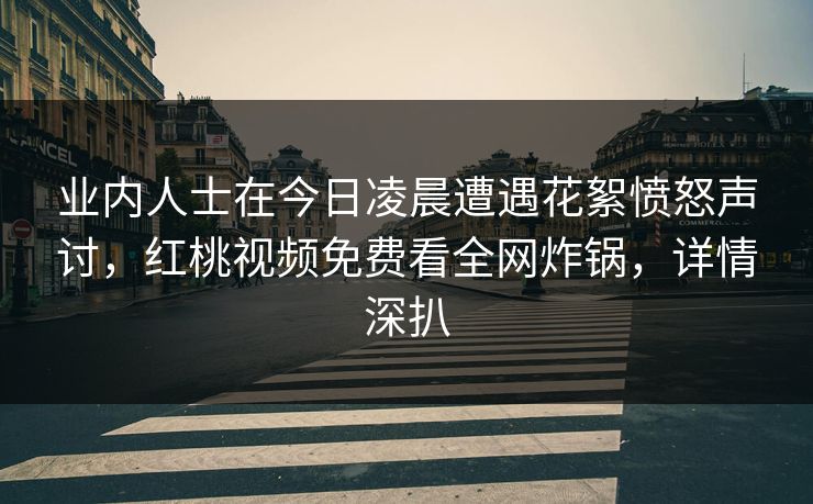 业内人士在今日凌晨遭遇花絮愤怒声讨,红桃视频免费看全网炸锅,详情深扒