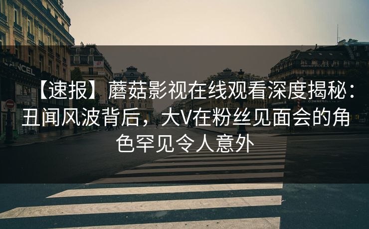 【速报】蘑菇影视在线观看深度揭秘：丑闻风波背后，大V在粉丝见面会的角色罕见令人意外